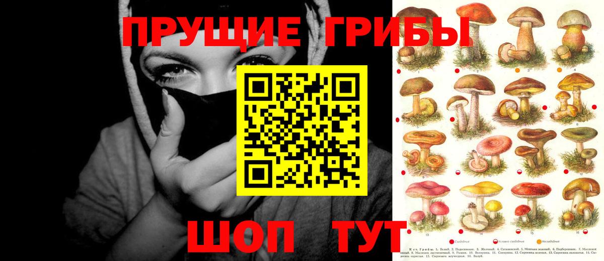 Псилоцибиновые грибы MAGIC MUSHROOMS Иркутск