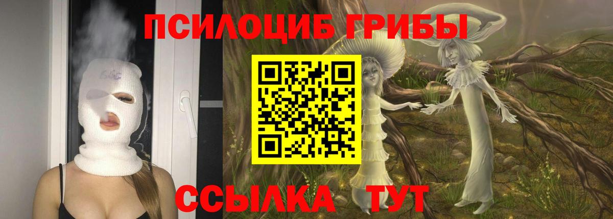 Иркутск  Псилоцибиновые грибы Cubensis  Псилоцибиновые грибы мухоморы  Вход с VPN 
